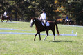 Pia Zuffoletti on Rio, Beginner Novice Horse Trials Junior A