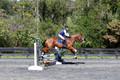 Amy Parsons on Wren Wrouge, Beginner Novice Senior HT B