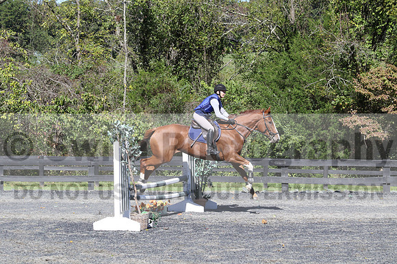 Amy Parsons on Wren Wrouge, Beginner Novice Senior HT B