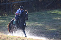 Corinne McCoy on FGF Midnight Harmony, Advanced Green Horse Trials Senior A