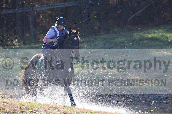 Corinne McCoy on FGF Midnight Harmony, Advanced Green Horse Trials Senior A