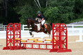 V22C0688