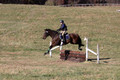Abby McGowan on Civil Bond, Beginner Novice Horse Trials Junior B