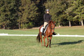 Jenny Rosner on Abbey Moon, Training Horse Trials