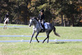 Michele Gnozzio on Dazzling, Beginner Novice Horse Trials Senior C