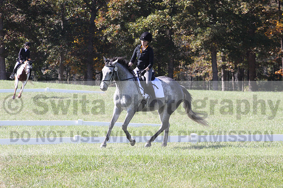 Michele Gnozzio on Dazzling, Beginner Novice Horse Trials Senior C