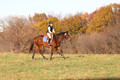 Caroline Morel on Lizzie, Green Horse Trials Junior