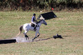Jennifer Cobb on Snowbird, Beginner Novice Horse Trials Senior A