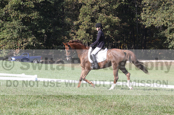 Maggie Proffitt on Wallstreet Melody, Novice Horse Trials Junior