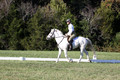 Jeanne Jeffer on Snowball's Chance, Green Horse Trials