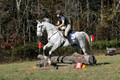 Tori Nuckols on Grey Dragon, Beginner Novice Horse Trials Senior A
