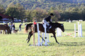 Kathleen Pimblett on Royal Grace, Green Horse Trials