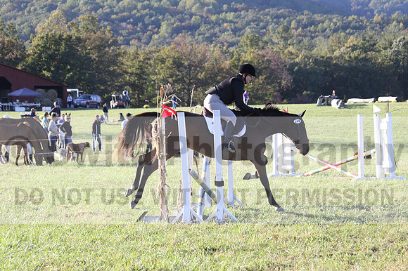 Kathleen Pimblett on Royal Grace, Green Horse Trials