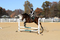 Ella Grier on Jean Louis Finch, Advanced Green Horse Trials Junior B