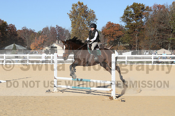 Ella Grier on Jean Louis Finch, Advanced Green Horse Trials Junior B