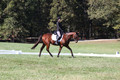 Katie LaValle on High Speed Internet, Beginner Novice Horse Trials Senior A