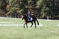 Katie LaValle on High Speed Internet, Beginner Novice Horse Trials Senior A