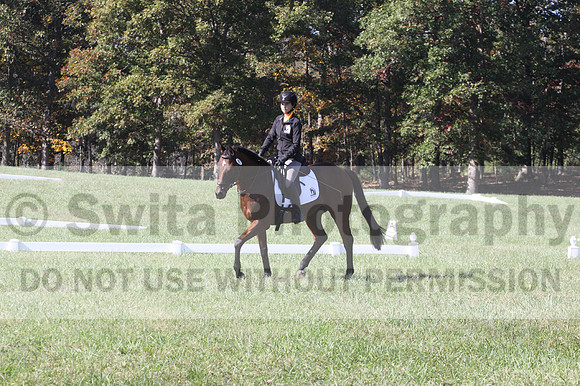 Katie LaValle on High Speed Internet, Beginner Novice Horse Trials Senior A