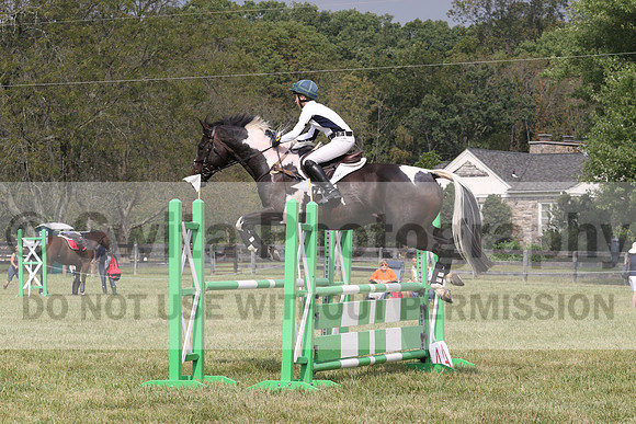 Cornelia Dorr on Sir Patico MH