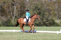 Clay Cooke on Clifford Dun It Again, Advanced Green Horse Trials B