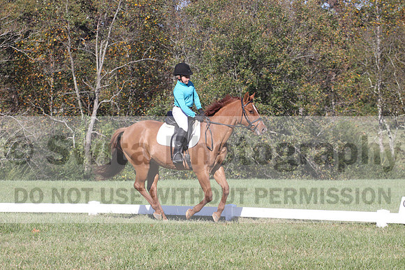 Clay Cooke on Clifford Dun It Again, Advanced Green Horse Trials B