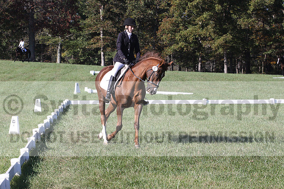 Maggie Proffitt on Wallstreet Melody, Novice Horse Trials Junior