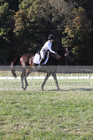 Nancy Grey on Bit Of Irish, Advanced Green Horse Trials B