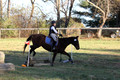 Caroline Morel on Lizzie, Green Horse Trials Junior