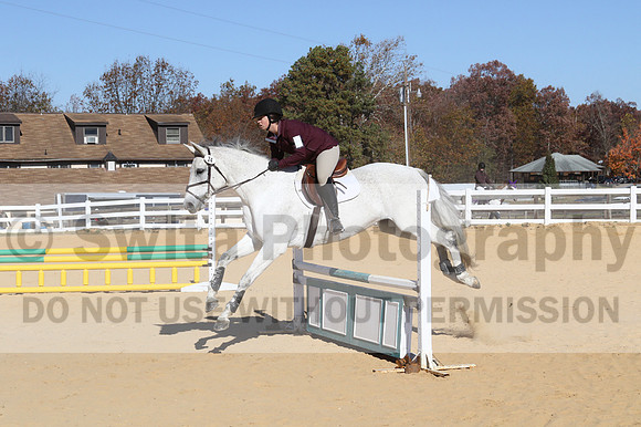 Shannon Bower on Bastille, Beginner Novice Combined Test