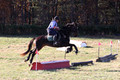 Corinne McCoy on FGF Midnight Harmony, Advanced Green Horse Trials Senior A