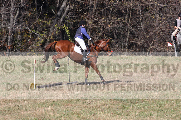 Suzy Gehris on Steddy Eddy, Beginner Novice Horse Trials Senior C