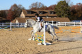 Kendall Duffy on Aspen, Green Horse Trials Senior