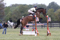 Lindsey Lanier on Fernhill Hustler, OI