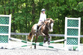 O12K2031
