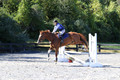 Amy Parsons on Wren Wrouge, Beginner Novice Senior HT B