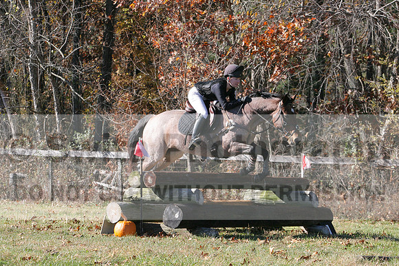 Alex Holliday on Partly Cloudy, Novice Horse Trials Junior