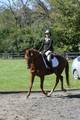 Jenny Rosner on Curious, Advanced Green HT Senior
