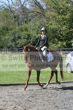 Jenny Rosner on Curious, Advanced Green HT Senior