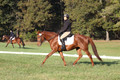 Jenny Rosner on Abbey Moon, Training Horse Trials