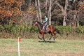 Wendy Zolinski on Civil Assets, Training Horse Trials