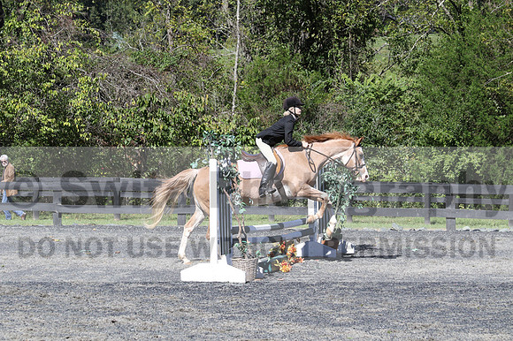 Sophia Zwaldo on Carmel Colored Lady, Advanced Green Horse Trials Junior