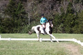 Kaitlyn Schmidt on Dandy, Advanced Green Horse Trials A