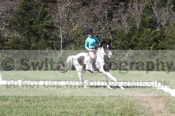 Kaitlyn Schmidt on Dandy, Advanced Green Horse Trials A