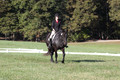 Melissa Kenny on F.O. Calculated Risk, Novice Horse Trials Senior B