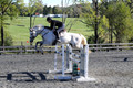Liz Riley on Ice Storm, Novice HT