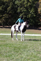 Kaitlyn Schmidt on Dandy, Advanced Green Horse Trials A