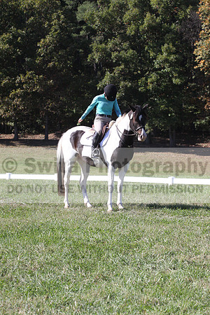 Kaitlyn Schmidt on Dandy, Advanced Green Horse Trials A