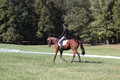 Katie LaValle on High Speed Internet, Beginner Novice Horse Trials Senior A