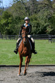 Jenny Rosner on Curious, Advanced Green HT Senior