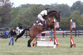 Lindsey Lanier on Fernhill Hustler, OI